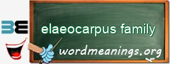 WordMeaning blackboard for elaeocarpus family